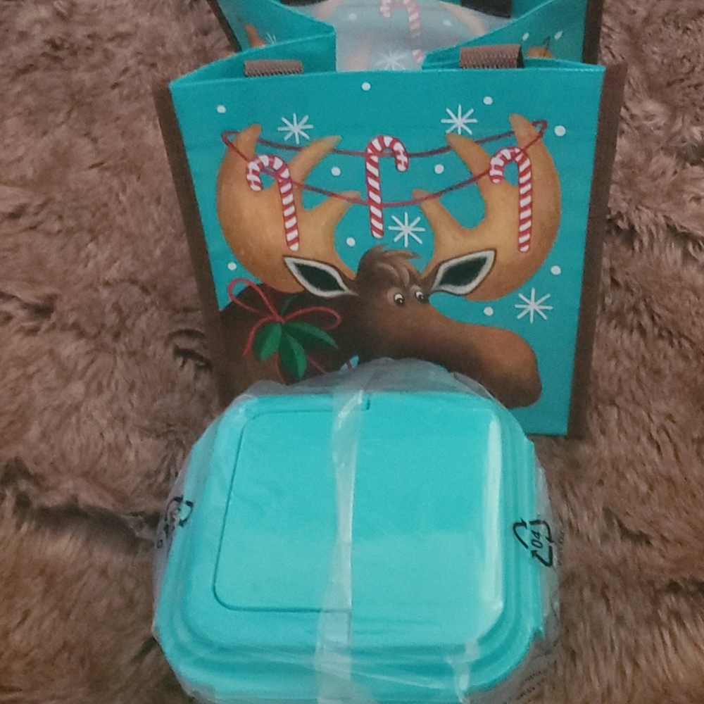 Lock and lock handle storage with bag